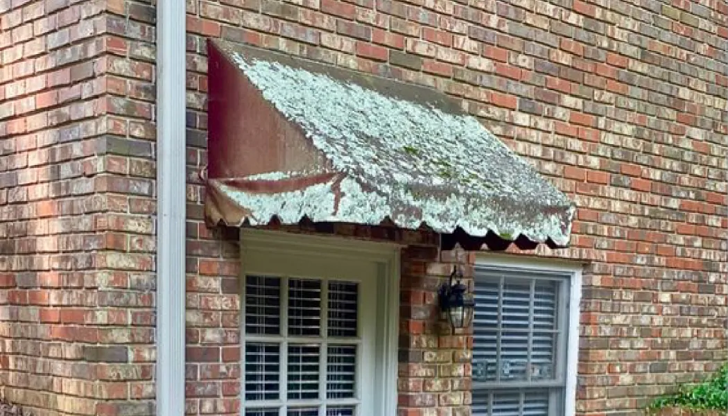 cleaning bird dropping