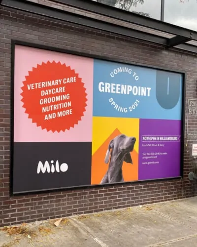 colorful window wrap