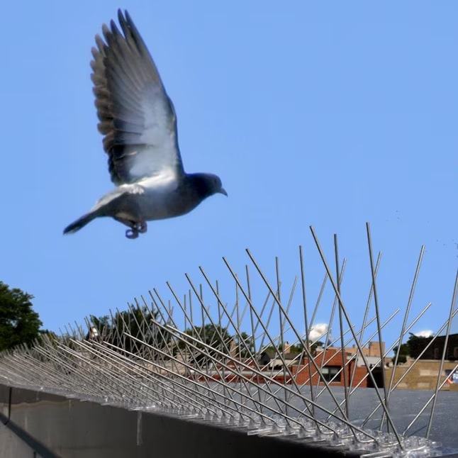 steps to keep birds away from canopies