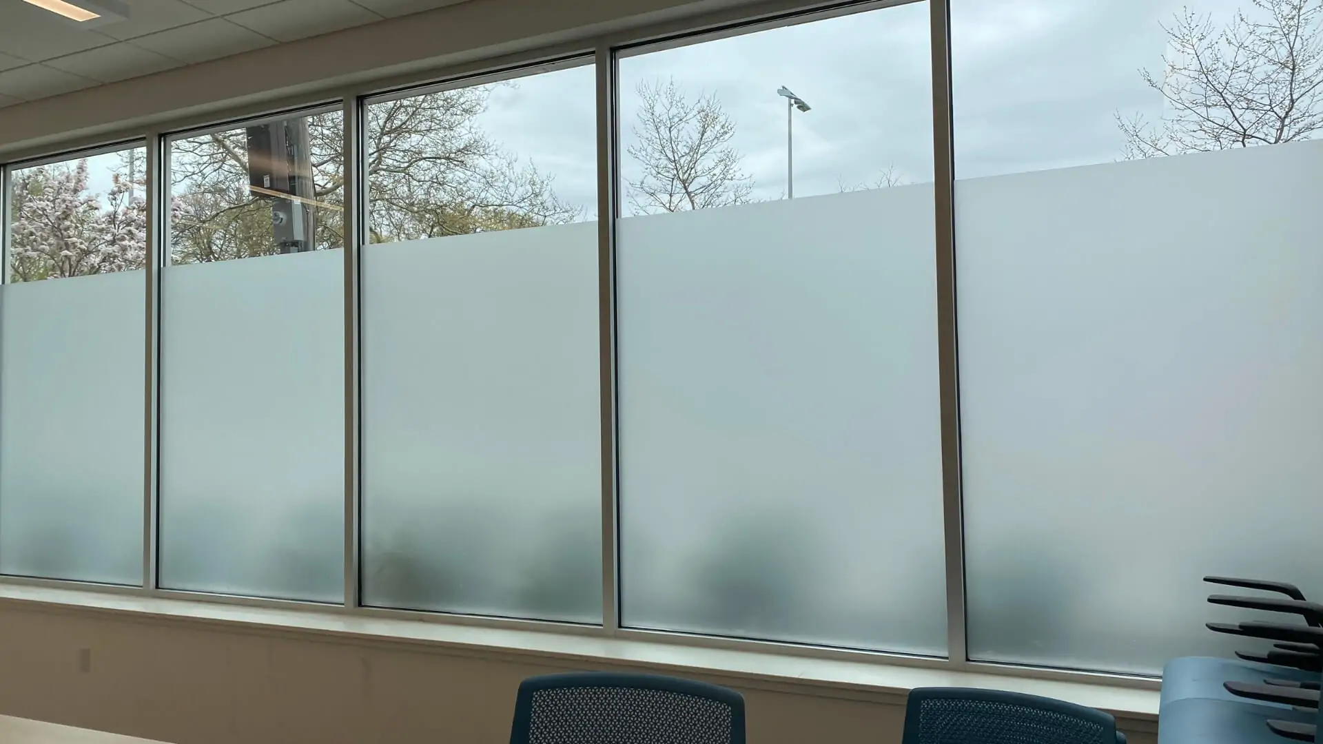 window privacy film for windows in goverment offices and banks