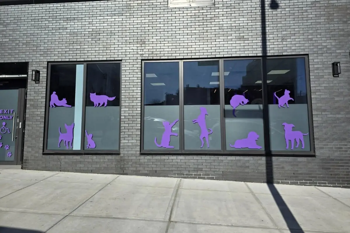 Vinyl printing service nyc