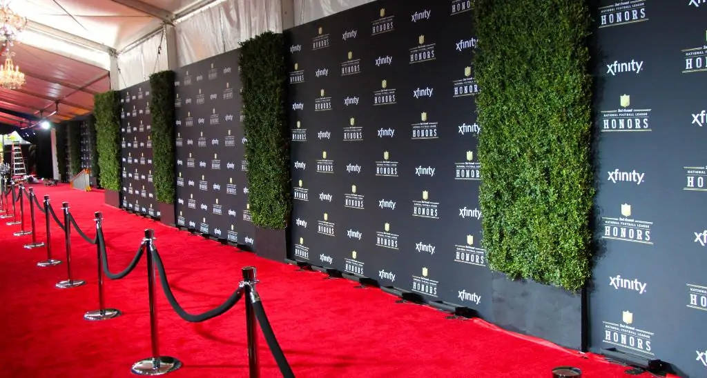 Birthday Red Carpet Backdrop