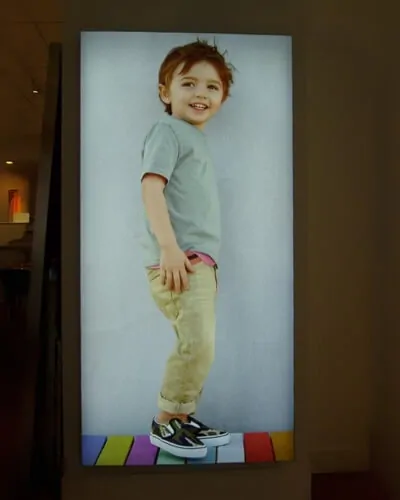 premium seg light box