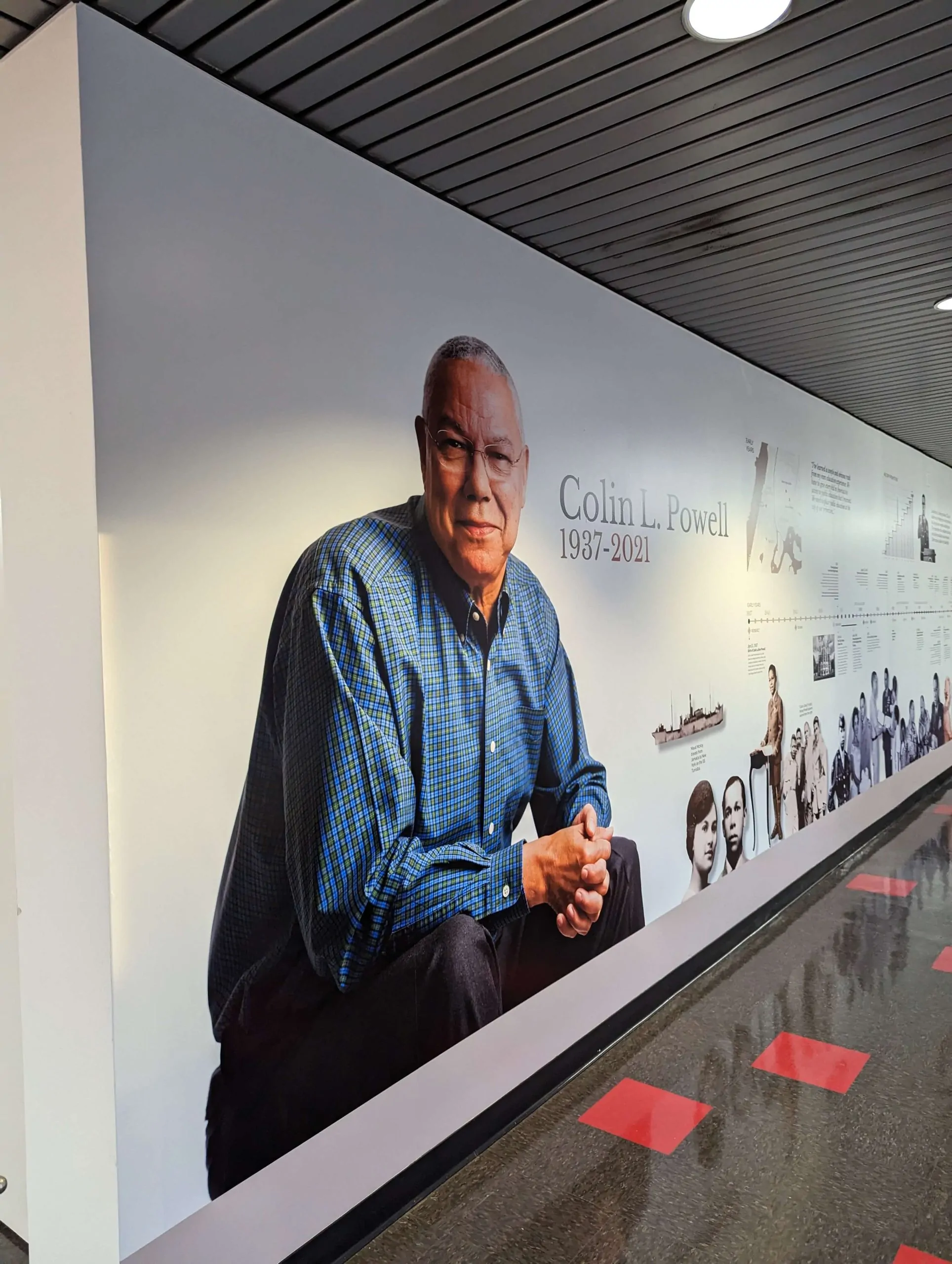 custom printed wall wraps