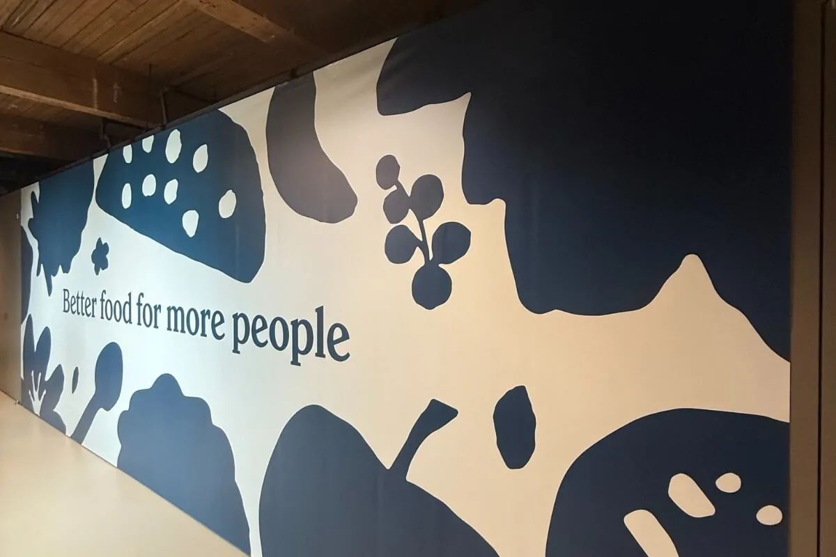 vinyl wall mural with organic shapes nyc