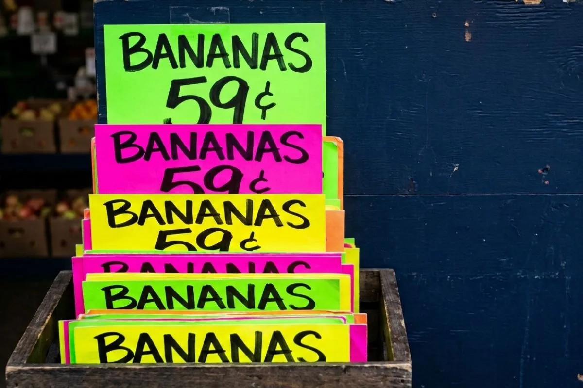 Neon paper sale signs for NYC supermarkets